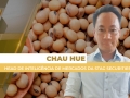 Chau Hue - Head de Inteligência de Mercados da Stag Securities