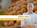 Chau Hue - Head de Inteligência de Mercados da Stag Securities