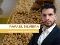 Rafael Silveira - Analista de Soja na Safras & Mercado