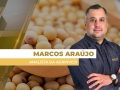 Marcos Araújo - Analista da Agrinvest