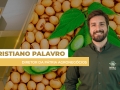 Cristiano Palavro - Diretor da Pátria Agronegócios