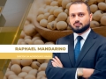 Raphael Mandarino - Diretor da AgResource Brasil