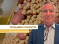 Fernando Pimentel - Sócio Diretor da Agrometrika