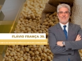 Flávio França Jr. - Chefe do Setor de Grãos da Datagro Consultoria