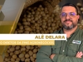 Alê Delara - Sócio Diretor da Pine Agronegócios