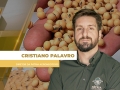 Cristiano Palavro - Diretor da Pátria Agronegócios