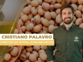 Cristiano Palavro - Diretor da Pátria Agronegócios