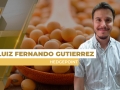 Luiz Fernando Gutierrez - Coordenador de Inteligência de Mercado na Hedgepoint