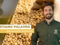Cristiano Palavro - Diretor da Pátria Agronegócios