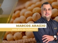 Marcos Araújo - Analista da Agrinvest