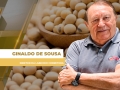 Ginaldo de Sousa - Diretor da Labhoro Corretora