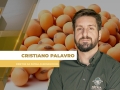 Cristiano Palavro - Diretor da Pátria Agronegócios
