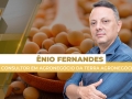 Ênio Fernandes - Consultor em Agronegócio da Terra Agronegócios