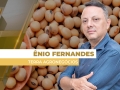 Ênio Fernandes - Consultor em Agronegócio da Terra Agronegócios