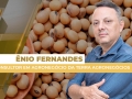 Ênio Fernandes - Consultor em Agronegócio da Terra Agronegócios