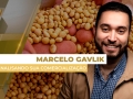 Marcelo Gavlik - Sócio e Assessor da Getreide Investimentos