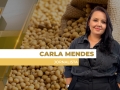 Carla Mendes - Jornalista
