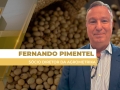 Fernando Pimentel - Sócio Diretor da Agrometrika