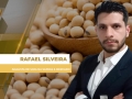 Rafael Silveira - Analista de Soja na Safras & Mercado
