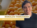Ronaldo Fernandes - Analista de Mercado Royal Rural