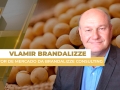 Vlamir Brandalizze - Consultor de Mercado da Brandalizze Consulting