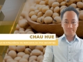Chau Hue - Head de Inteligência de Mercados da Stag Securities