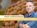 Ênio Fernandes - Consultor em Agronegócio da Terra Agronegócios