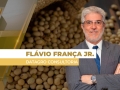 Flávio França Jr. - Chefe do Setor de Grãos da Datagro Consultoria