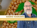 Mário Mariano Moraes Júnior - Diretor Comercial Agrosoya/Novo Rumo Commodities