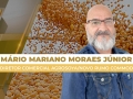 Mário Mariano Moraes Júnior - Diretor Comercial Agrosoya/Novo Rumo Commodities