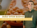 João Vitor Bastos - Analista de Mercado da Pátria Agronegócio