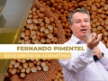 Fernando Pimentel - Sócio Diretor da Agrometrika