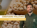 Cristiano Palavro - Diretor da Pátria Agronegócios