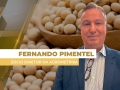 Fernando Pimentel - Sócio Diretor da Agrometrika