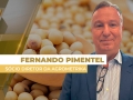 Fernando Pimentel - Sócio Diretor da Agrometrika