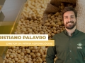Cristiano Palavro - Diretor da Pátria Agronegócios