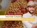 Victor Cazzo - Consultor de Mercado Venda na Hora Certa