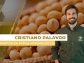 Cristiano Palavro - Diretor da Pátria Agronegócios