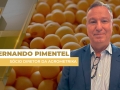Fernando Pimentel - Sócio Diretor da Agrometrika