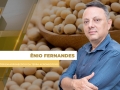 Ênio Fernandes - Consultor em Agronegócio da Terra Agronegócios