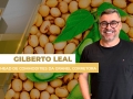Gilberto Leal - Head de Commodities da Granel corretora