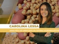 Carolina Lessa - Analista de Mercado da Pátria Agronegócios