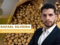 Rafael Silveira - Analista de Soja na Safras & Mercado