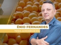Ênio Fernandes - Consultor em Agronegócio da Terra Agronegócios