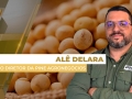 Alê Delara - Sócio Diretor da Pine Agronegócios