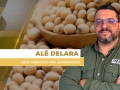Alê Delara - Sócio Diretor da Pine Agronegócios