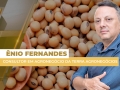 Ênio Fernandes - Consultor em Agronegócio da Terra Agronegócios
