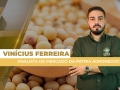 Vinícius Ferreira - Analista de Mercado da Pátria Agronegócios