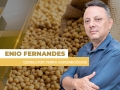 Enio Fernandes - Consultor Terra Agronegócios