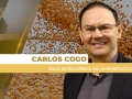 Carlos Cogo - Cogo Inteligência em Agronegócio